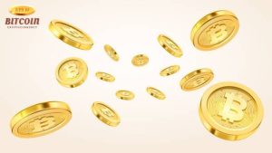 How to Trade SHIB Like a Pro Crypto Investor